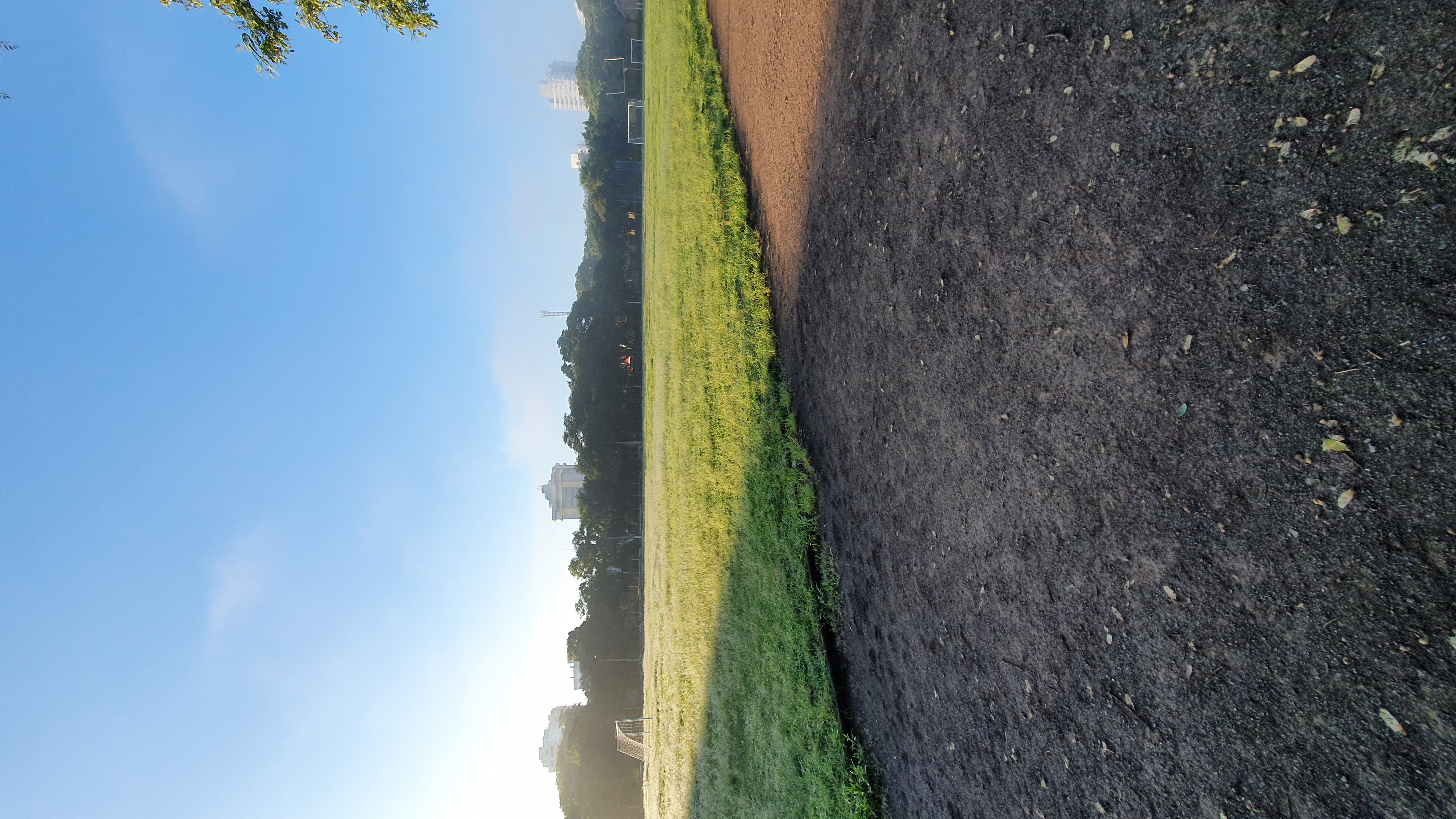 Foto de um longo campo de grama verde