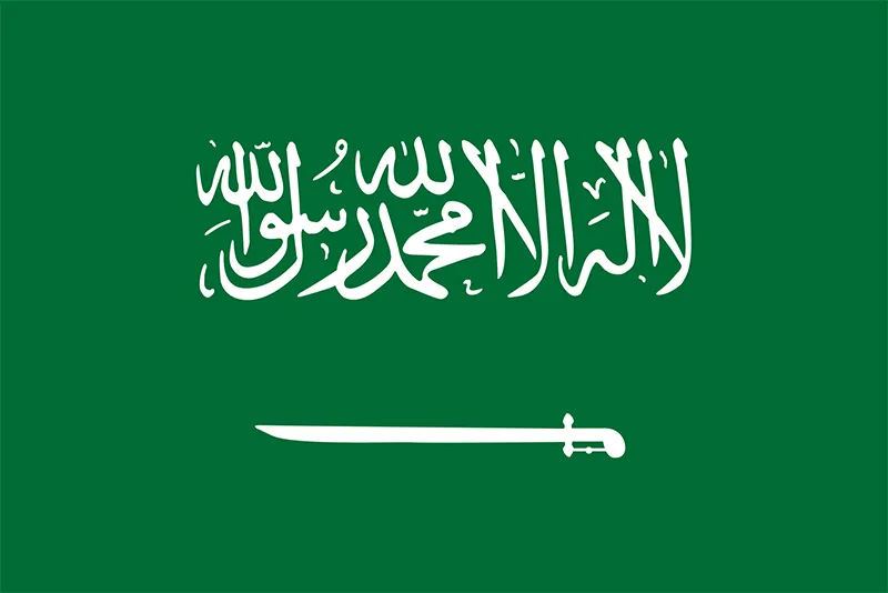 The flag has a green background. In the lower part, a saber is visible, and in the central part there is a writing in Arabic.