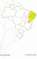 Imagem da Região da Caatinga
