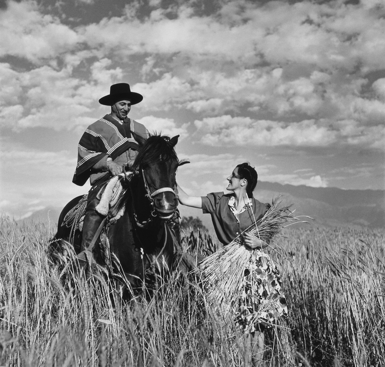 gaucho
