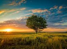 Paisagem