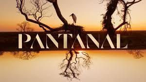 pantanalnovela